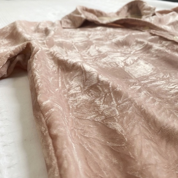 ARITZIA WILFRED LE FOU SILK BLEND CRISTOL PINK CRUSHED VELVET BUTTON DOWN SHIRT - Picture 6 of 9